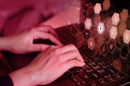 Hands typing on a laptop.