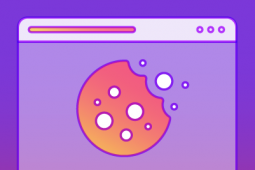 A browser cookie