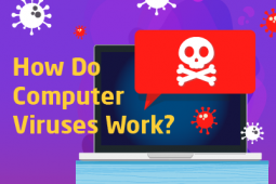 The following sentence "How do Computer viruses work?" is written and next to it illustration of a laptop on it there are symbols representing the viruses and a symbol of skeleton.