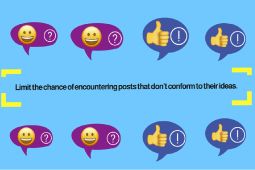 social media echo chambers